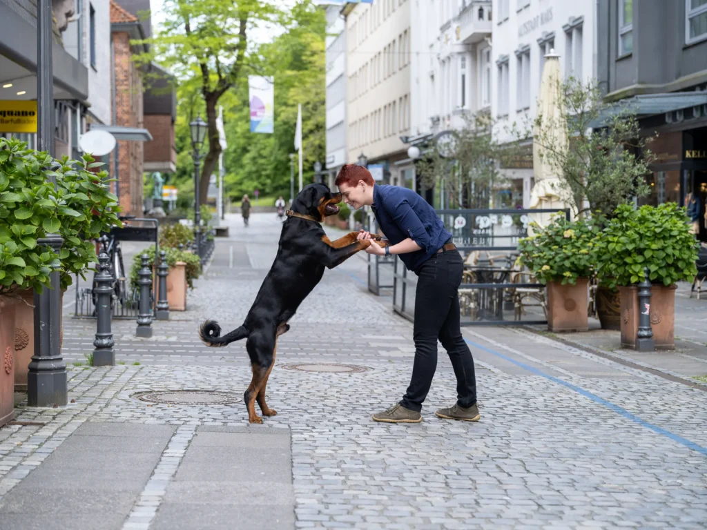 Hundetrainerin der Hundeschule Kiel mit Rottweiler